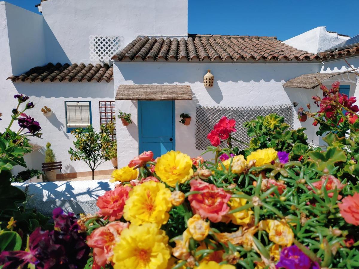 アルコス・デ・ラ・フロンテーラ Casa Campana Bed & Breakfast エクステリア 写真